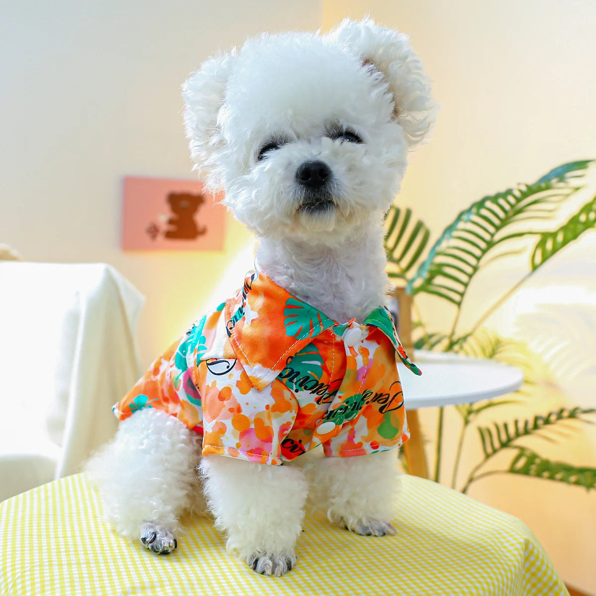 Camisa de Cães Estampada