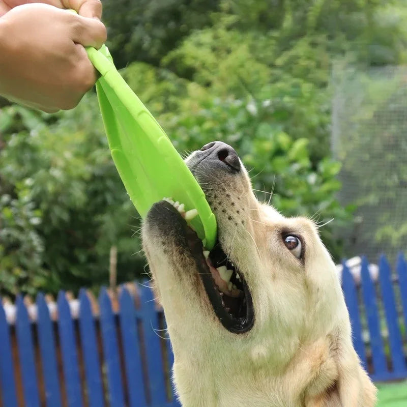 Disco Voadores para Cães De Silicone