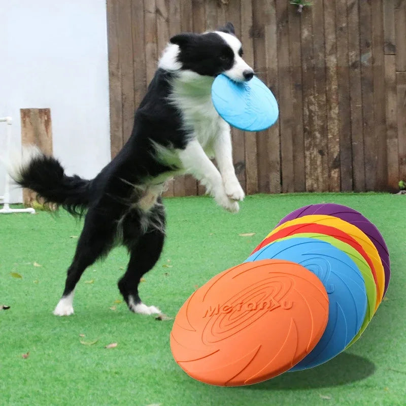 Disco Voadores para Cães De Silicone