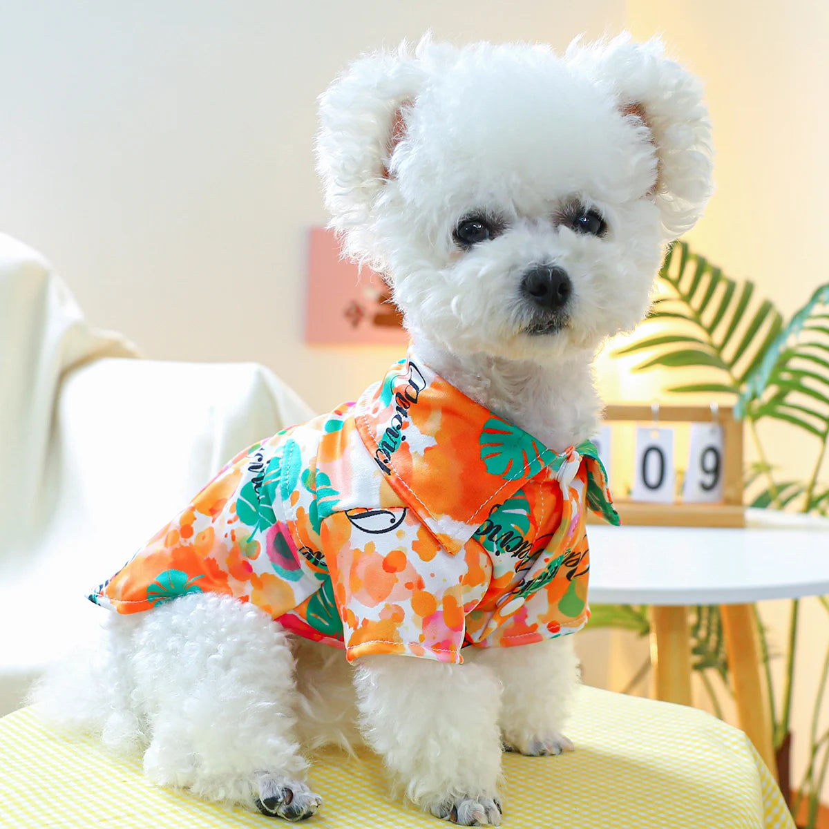 Camisa de Cães Estampada